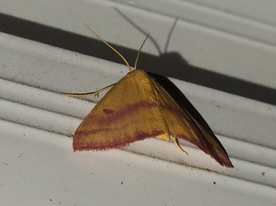 20220812_224253.jpg
