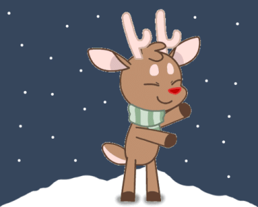 IMG_20221224_073532.gif