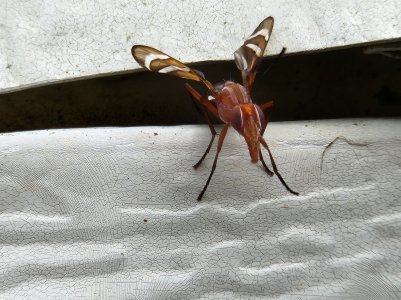 20220816_131716.jpg