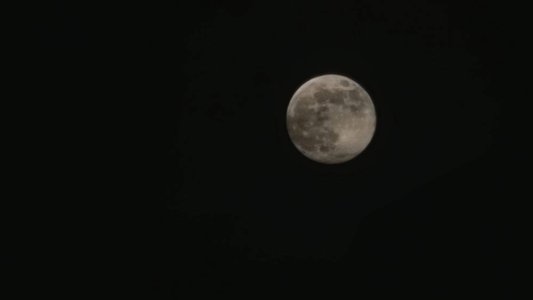 20230106_170118.jpg