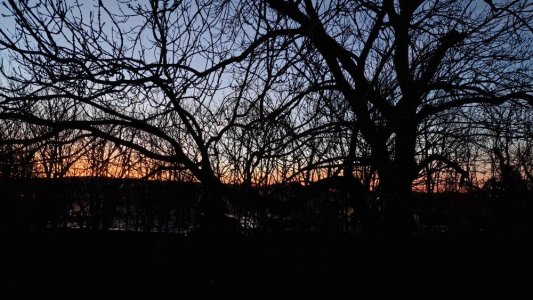 20230107_070527.jpg
