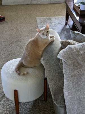 GEORGE1.jpg