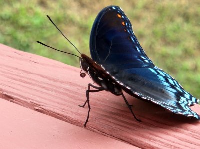 20220817_114333.jpg