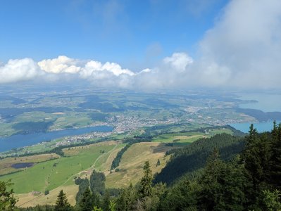 PXL_20220710_094542753.jpg