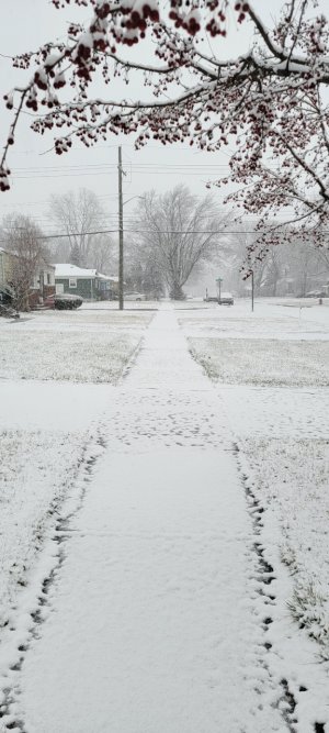 20230122_095528.jpg