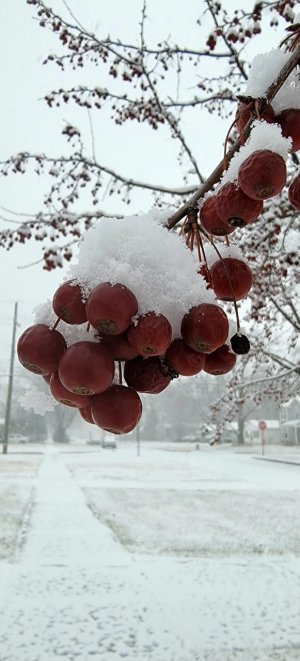 20230122_095604.jpg