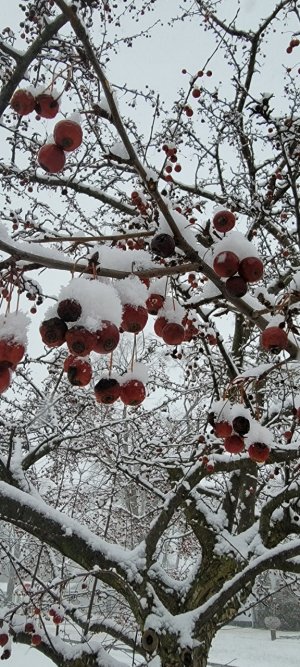 20230122_095555.jpg