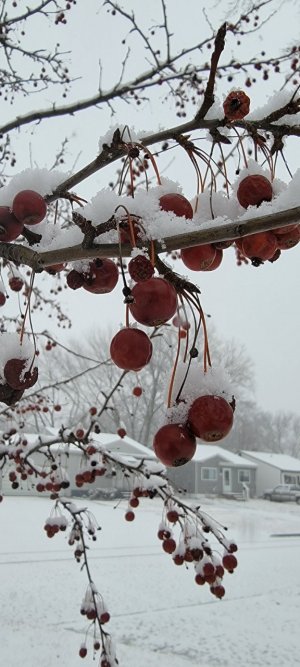 20230122_095542.jpg