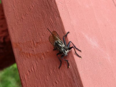 20220820_121652.jpg