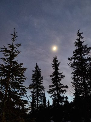 20230125_171341.jpg