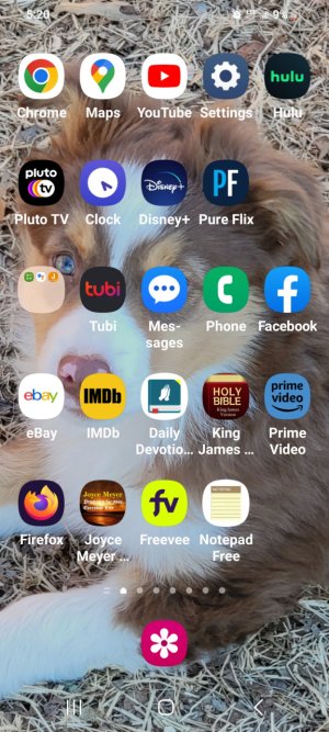 Screenshot_20230129_172045_One UI Home.jpg