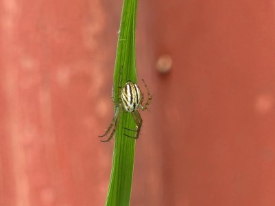 20220823_130332.jpg