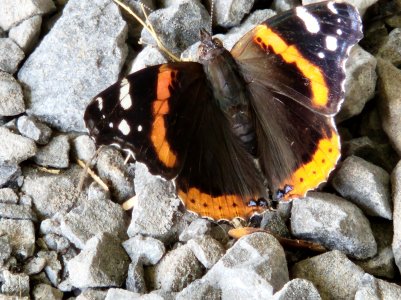 20220826_110240.jpg