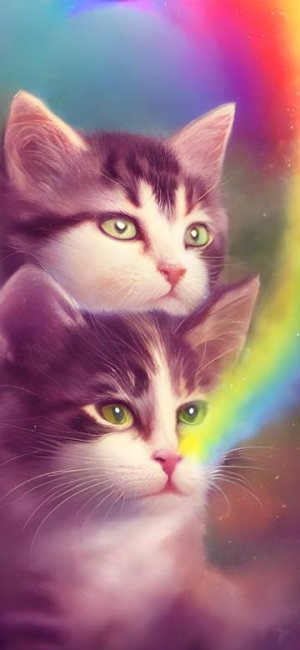kitten and rainbow, bokeh, cinematic photography (3).jpg