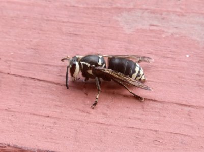 20220828_172747.jpg