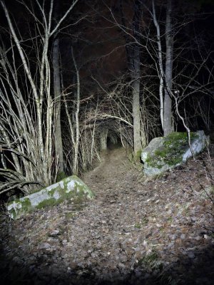 20230206_194514.jpg