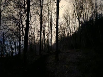 20230206_193908.jpg