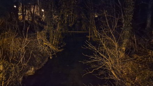 20230211_205002.jpg
