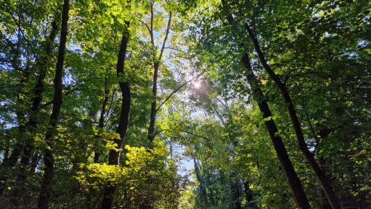 20220903_091926.jpg