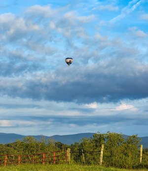 Balloon-2.jpg