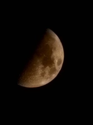 20220903_221622.jpg