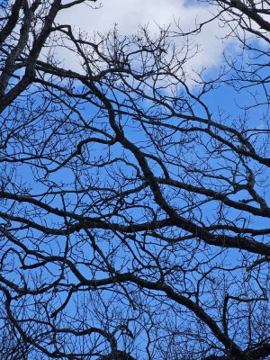 20230214_121216.jpg