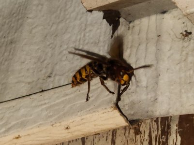 20220909_214848.jpg