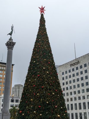 PXL_20221230_205441583.jpg