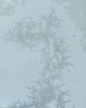 20230218_074019.jpg