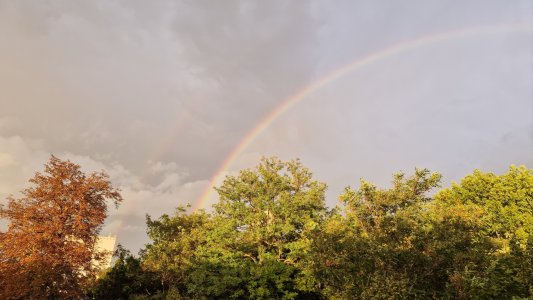 20220911_183601.jpg