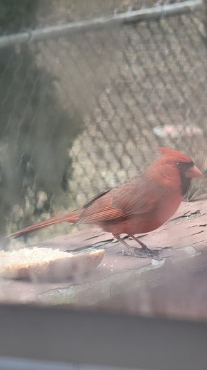 20230219_094359 (1).jpg