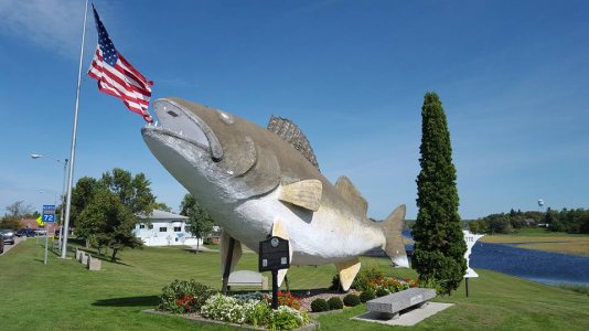 Willy Walleye.jpeg
