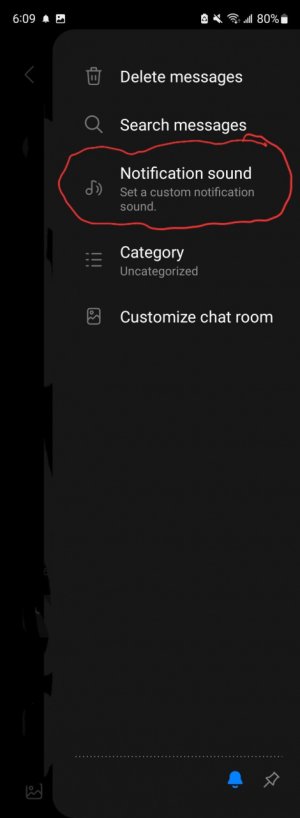 Screenshot_20220913-180951_Messages.jpg