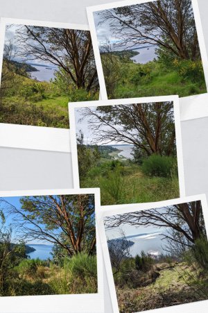PXL_20220428_163004499-COLLAGE.jpg