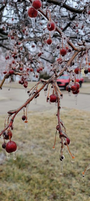 20230223_114740.jpg