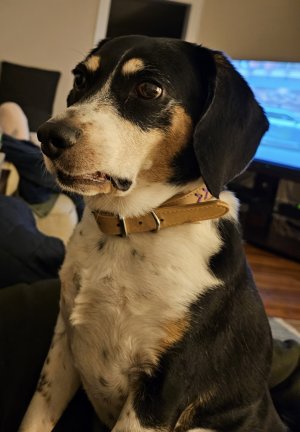 20230223_221720.jpg