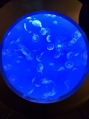20230224_113424.jpg