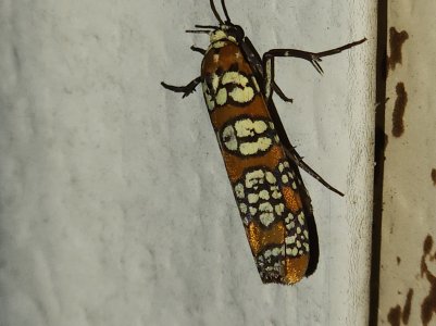 20220921_001749.jpg