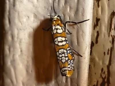 20220921_001811.jpg