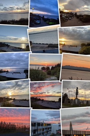 IMG_20200101_161421-COLLAGE.jpg IMG_20200101_161421-COLLAGE.jpg