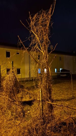 20230305_201553.jpg