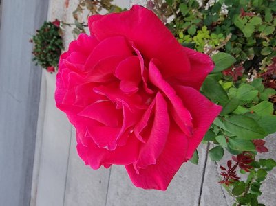 20220930_065834.jpg