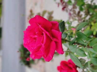 20220930_065850.jpg