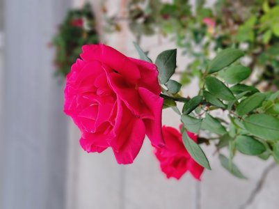20220930_065845.jpg