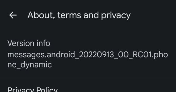 GoogleMessagesAppVersion.jpg