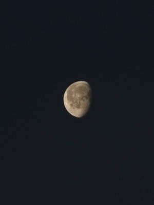 20230312_070640.jpg