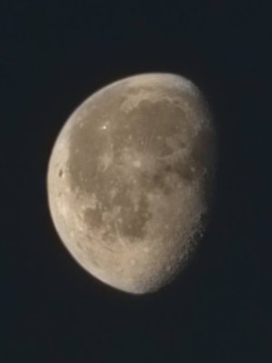 20230312_070747.jpg