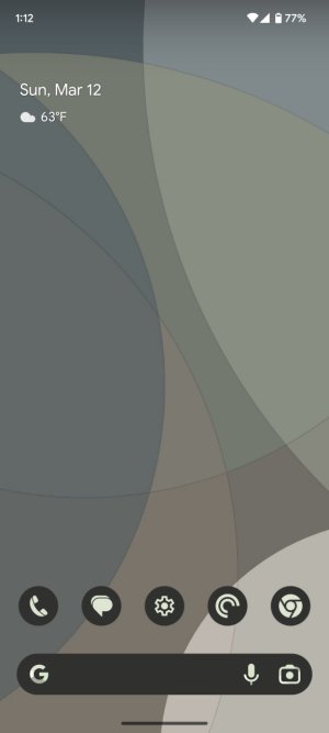 Screenshot_20230312-131252.jpg