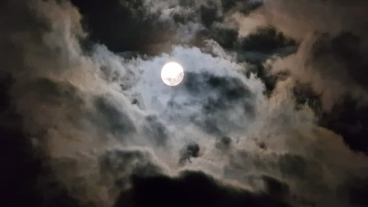 20221008_205854.jpg