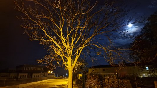 20221008_204640.jpg